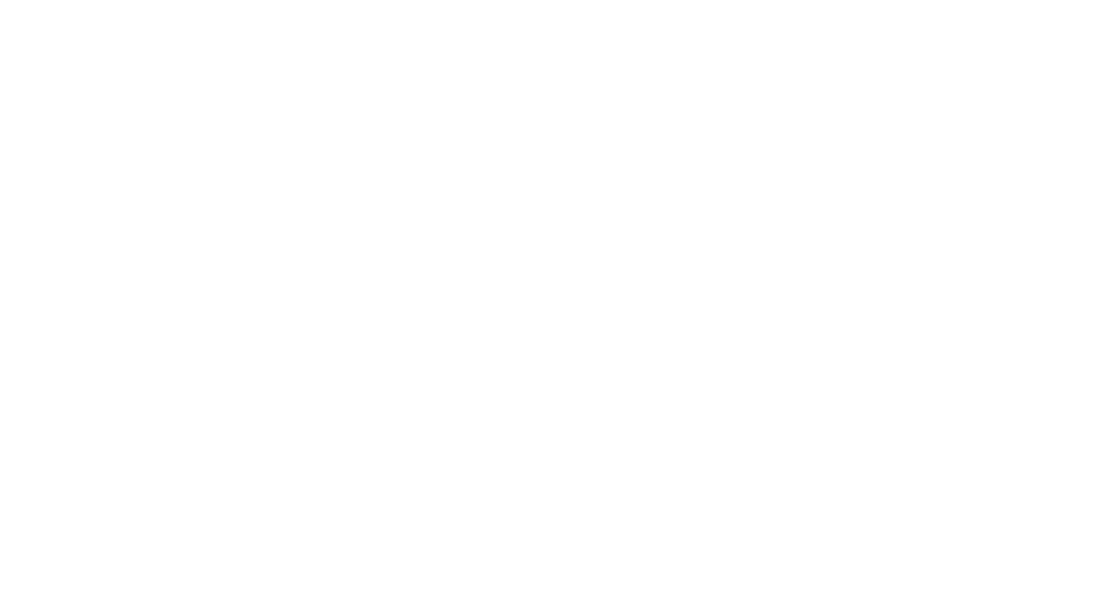 Ariza Silva 11555 — Deputada Estadual